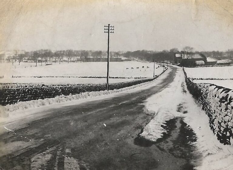 Carlton Lane Aireborough Historical Society