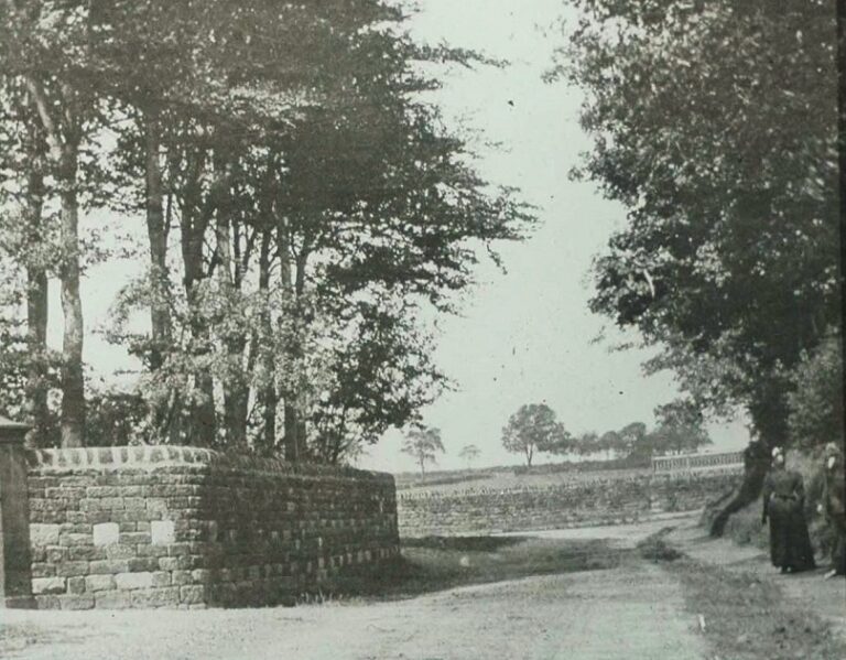 Carlton Lane Aireborough Historical Society