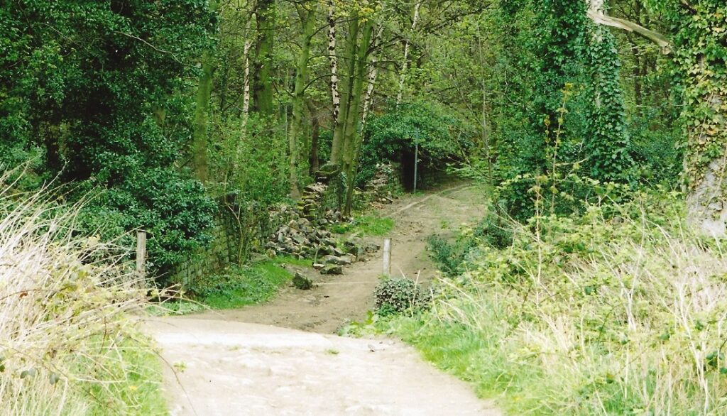 Coach Road Aireborough Historical Society