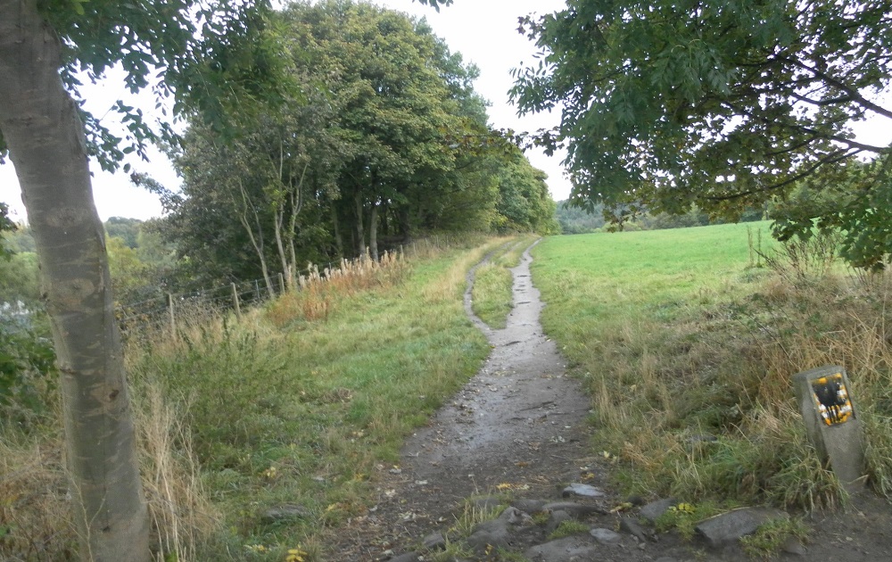 Footpath to Esholt on the Coach Road 2016
