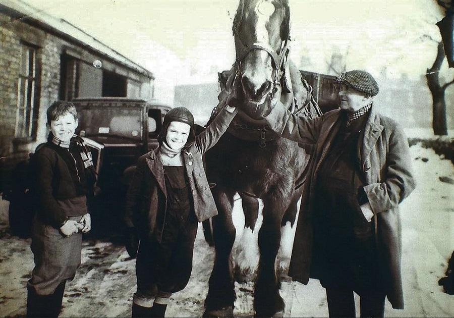 The Last Council Horse 1949