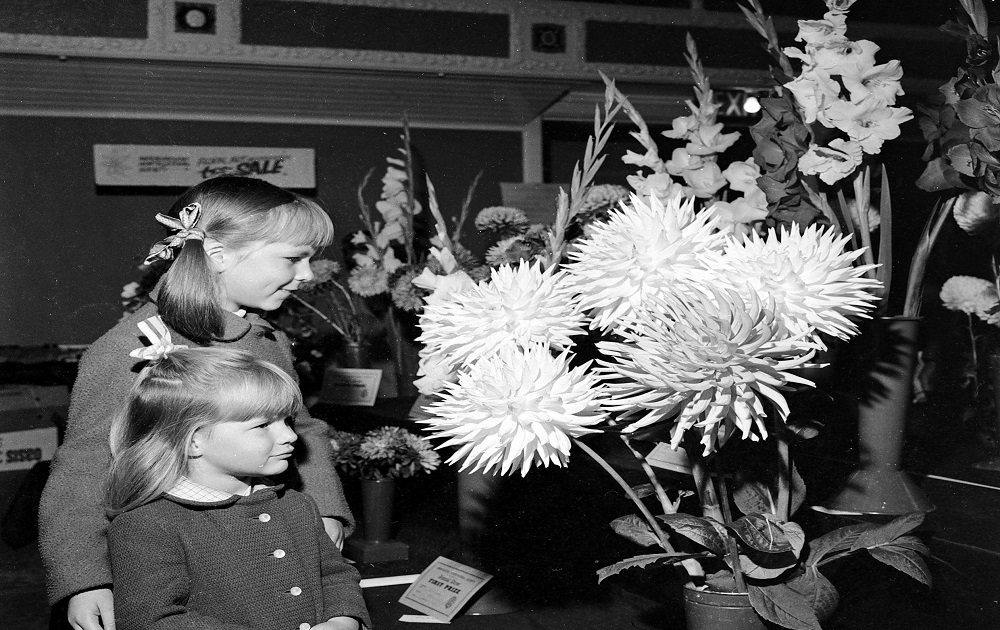 Aireborough Flower Show 1968